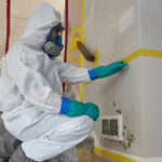 Mold Remediation Containment