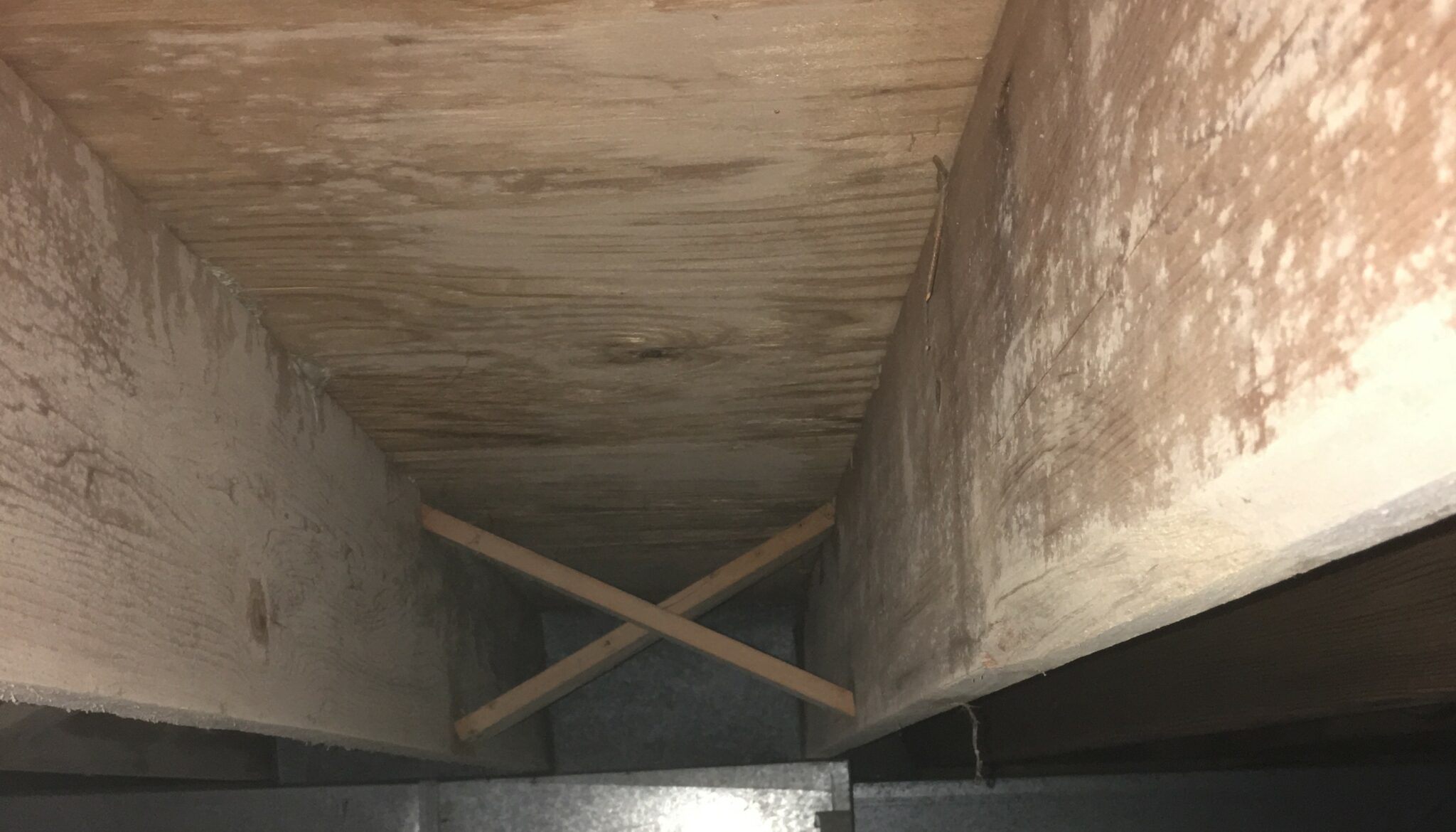 10 Common Warning Signs of Mold in Your Home