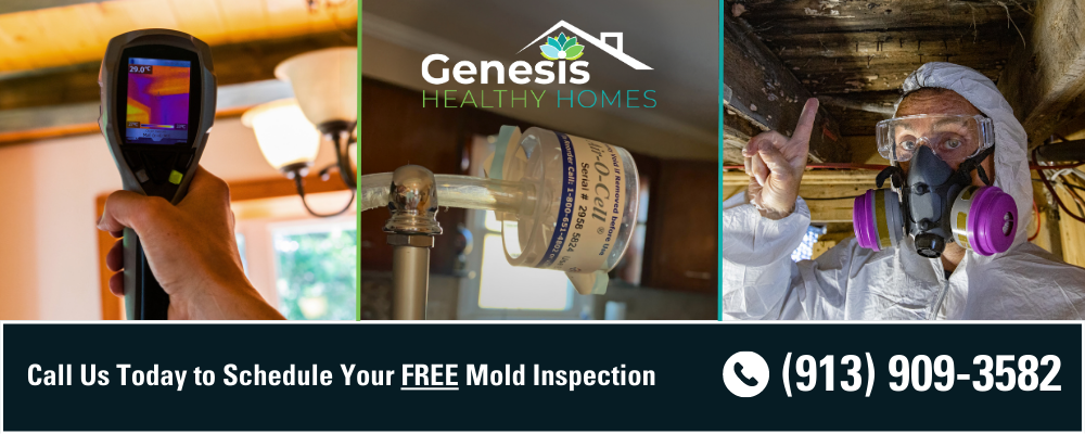 Mold Inspection and Testing Kansas City
