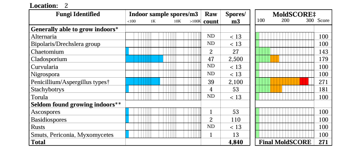 mold testing report